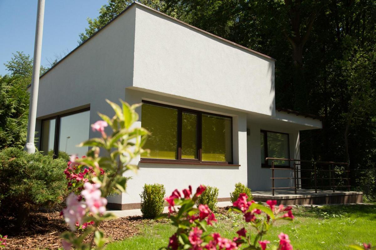 Camping Oaza Blonie Kornik Domki Standard Plus - 3 Pokoje Kültér fotó